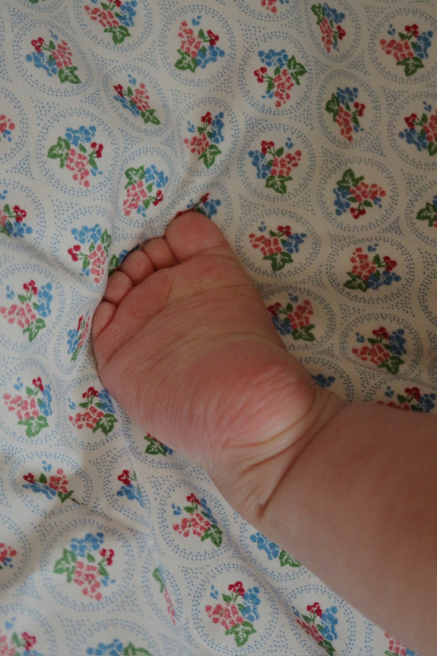 Miniaturebillede 2